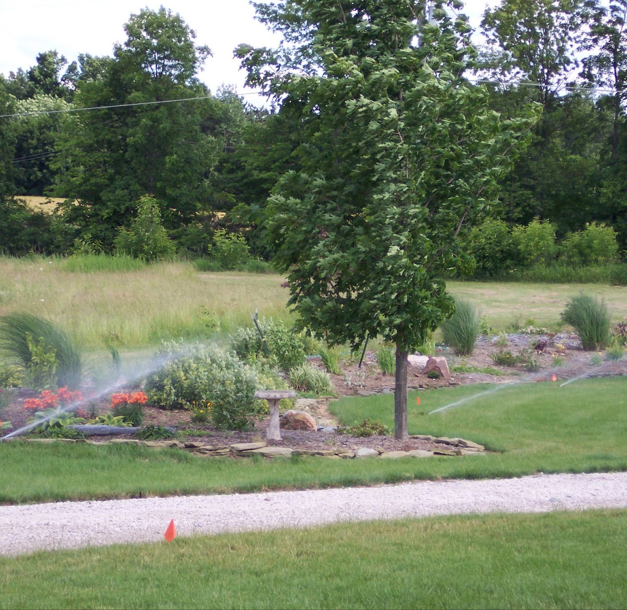 Landscape bed with irrigation and lawn