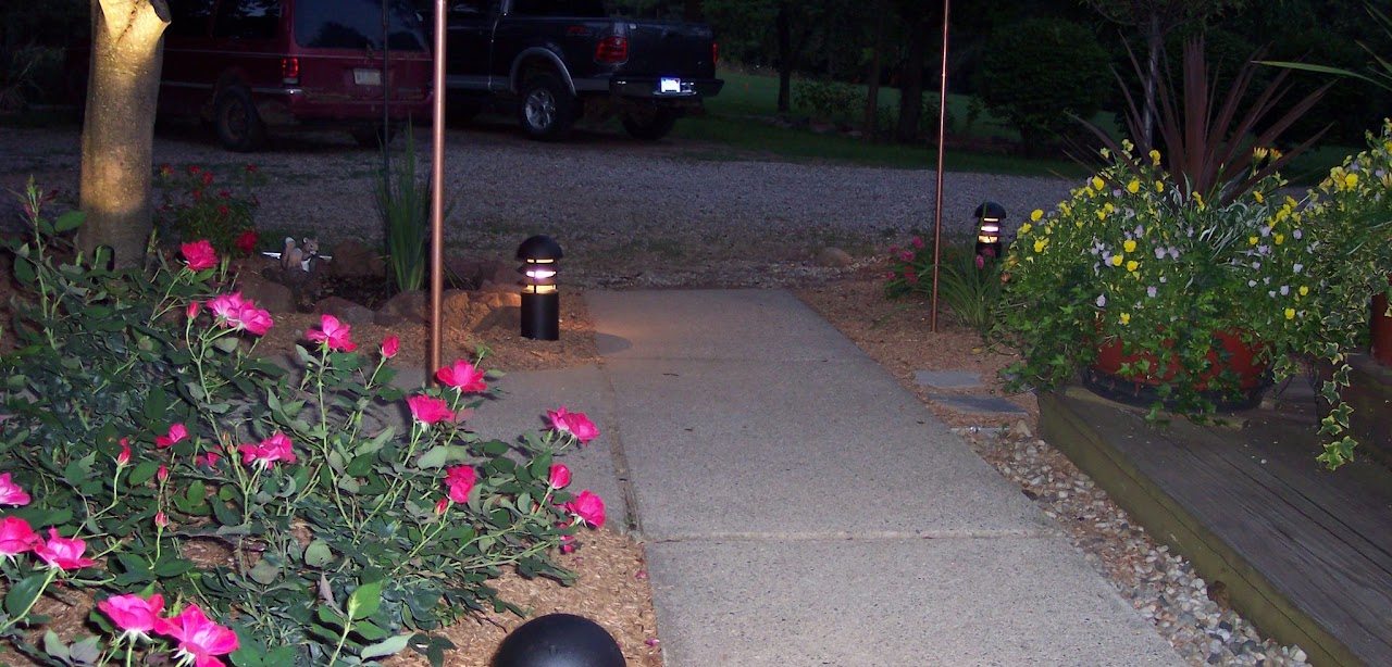 Landscape lighting and planted walkway