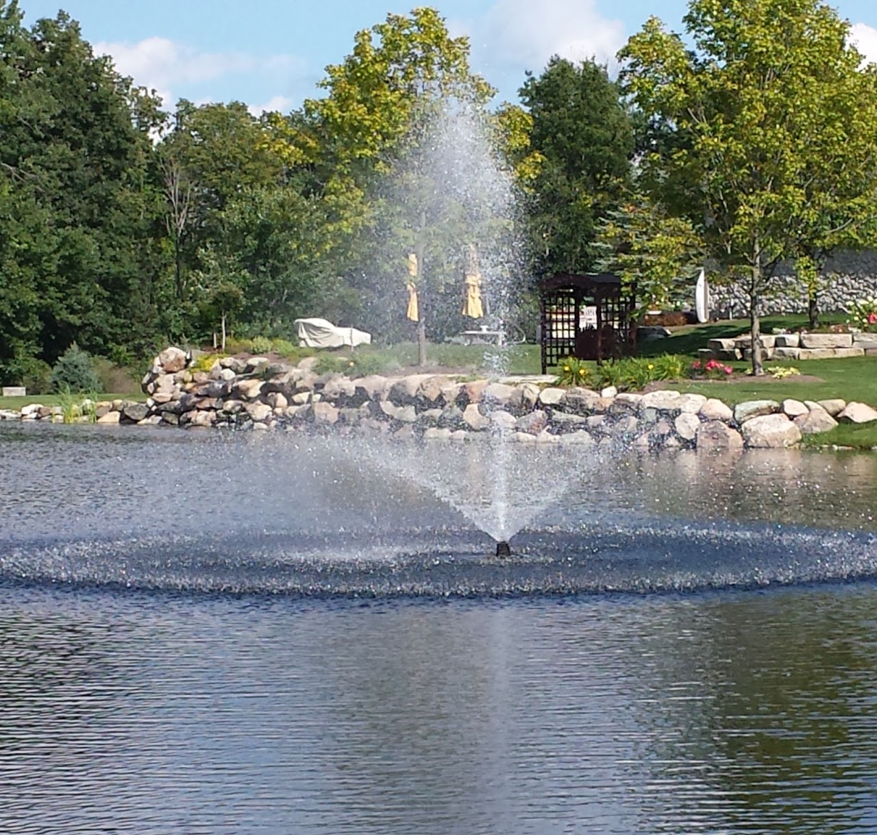 Custom pond and water feature